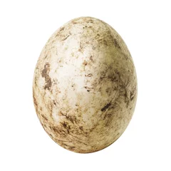 Zelfklevend Fotobehang White dirty egg © fotoslaz