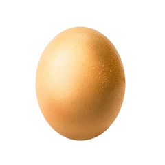 Egg with drop isolated