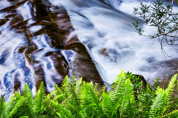 Liffey Falls State Reserve at the Midlands region of Tasmania, Australia..