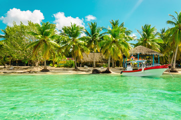 Fototapeta na wymiar Exotic coast of Dominican Republic with high palms, colorful boats
