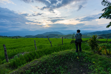 Fototapeta na wymiar Rice Terraces at sunset time and in rainy season. Best feeling in nature and travel