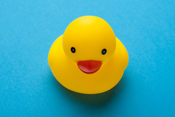 Yellow rubber toy duck isolated on blue background