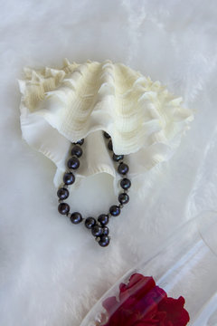 figured white bivalve shell casket and bracelet of black pearls on white fur