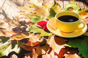 Cup of coffee in autumn leaves