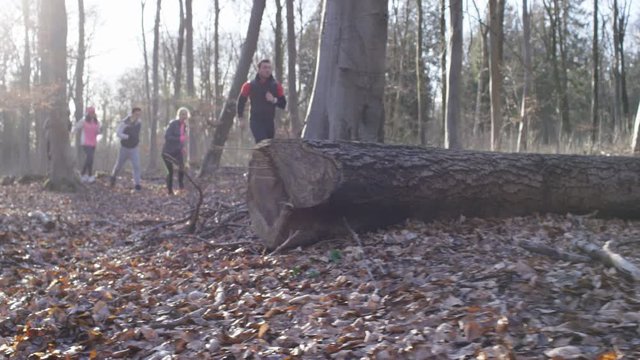 Group of runners running in forest, climbing and jumping over fallen trees.