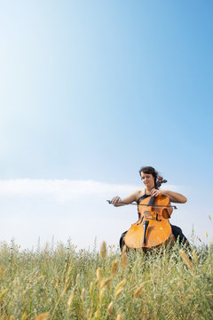 The girl plays a violoncello in the field