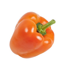 Pepper red color isolated on white background