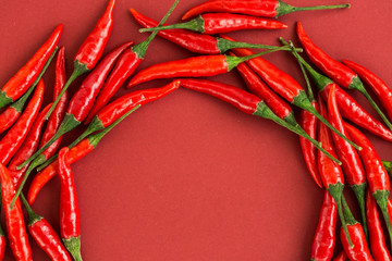 red hot chili peppers, popular spices concept - colorful semicircle of still life composition by hot chili peppers pods on red background, top view, flat lay, free space for text