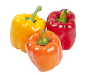 Pepper color isolated on white background