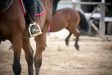 close up of a foot inside the stirrups
