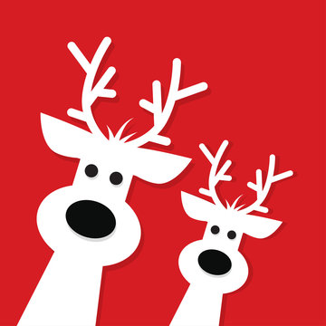 Two white Christmas Reindeer