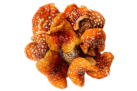Dried mushrooms amanita muscaria
