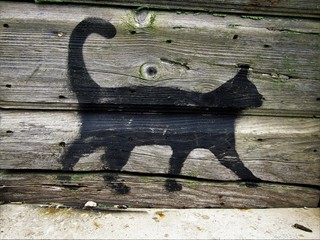 silhoutte einer schwarzen katze auf der Bretterwand eines hauses im süden europas/abbildung eines Tieres auf alten brettern einer holzwand/laufender Kater © Christine