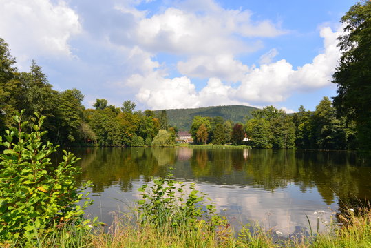 Seegarten Amorbach