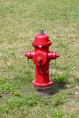 The red fire hydrant in the grass of the yard on a close up view.