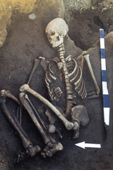 Archaeological excavations and finds (bones of a skeleton in a human burial),  working tool, ruler, arrow direction north, a detail of ancient research, prehistory.