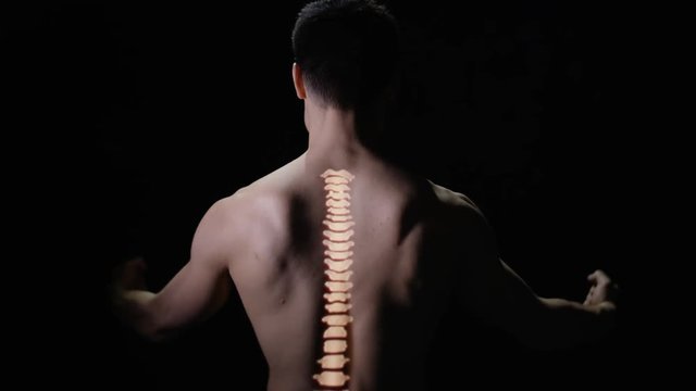  Illuminated spinal column projected onto the back of naked male model