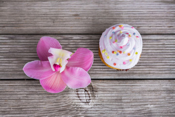 Cupcake with white cream and pink flower