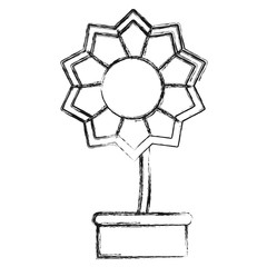 beautiful flower in a pot icon over white background vector illustration