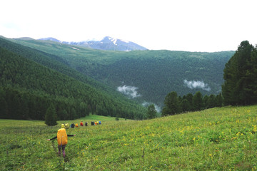 a group of tourists walking in the mountains
