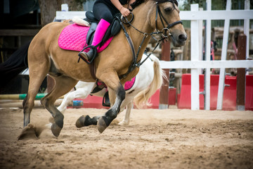 horse gallopping during an equestrian competition