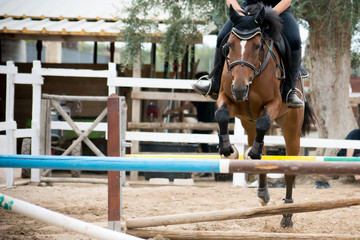 horse jumping obstacles during equestrian school training