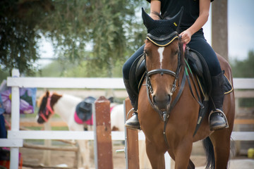 rider riding a horse standing by before a competition