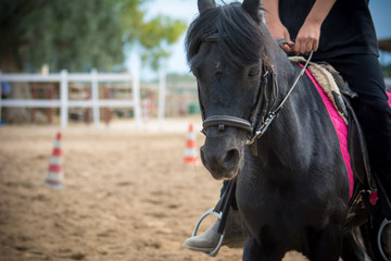 rider riding a horse