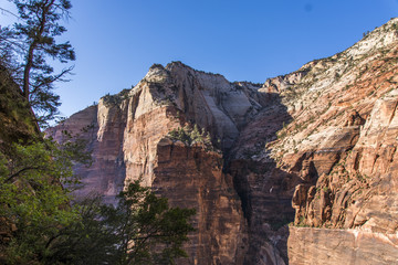 Zion Sandstone Cliffs From East Rim Trail