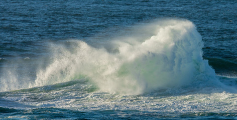 Naklejka premium Ocean Wave - 8759