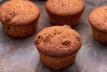 Fresh baked blueberry muffins served on a oven-tray