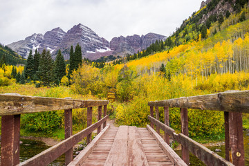 The Bridge with Aspen Trees with Golden Yellow Leaves and Mountain
