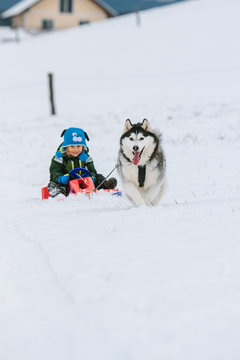 young boy and his husky having fun in snowcovered winter landscape