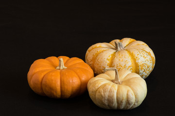 White, orange and mixed pumpkin like gourds on a black background.
