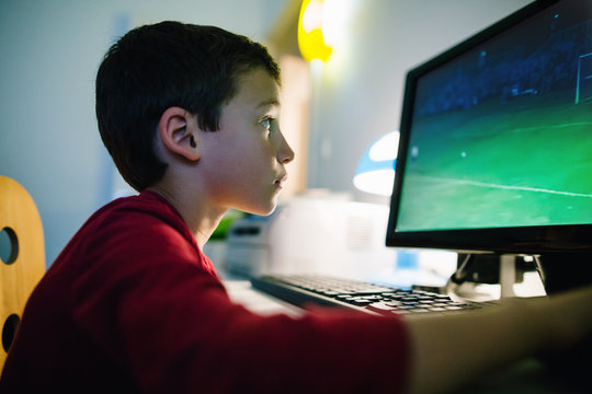 Little boy playing video games on the computer.
