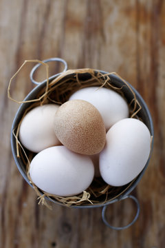Eggs