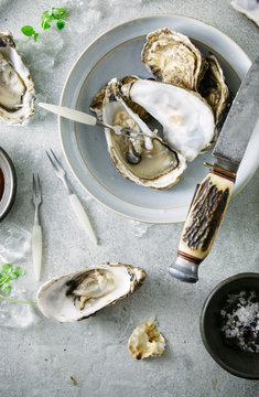 Shucked oysters on a table.