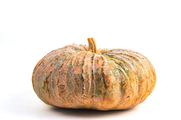 pumpkin  isolated on white background
