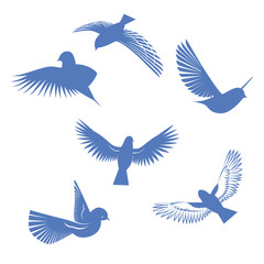 birds icons