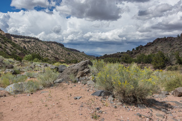 Down the Arroyo Below Diablo Canyon