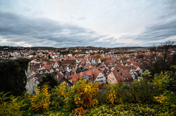 テュービンゲン