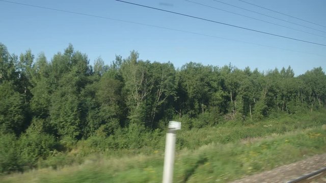 POV: High-speed Train moves past a forest in the summer day