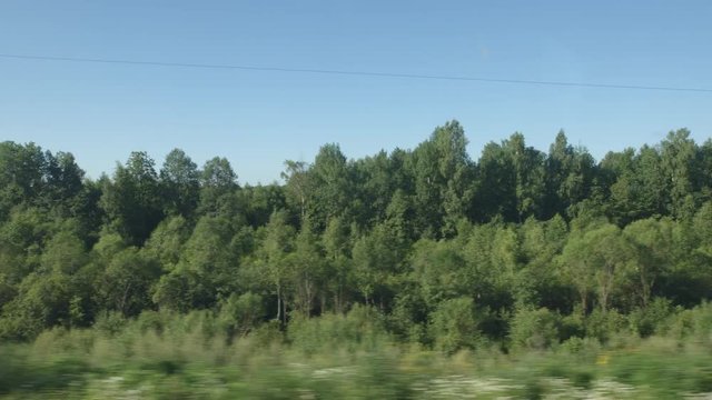 POV: High-speed Train moves past a forest with a low trees in the summer day