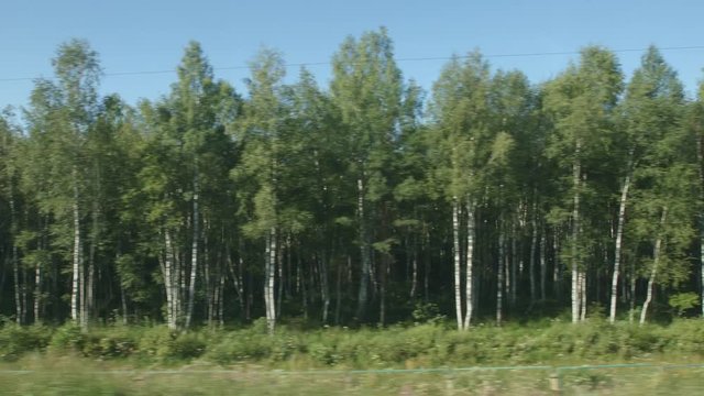 POV: High-speed Train moves past a woods in a sunny day
