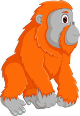 cute orangutan cartoon posing with look up