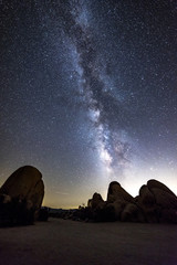 The night sky peppered with thousands of stars and the beautiful Milky Way, which hangs vertically over a Joshua Tree in Joshua Tree National Park.