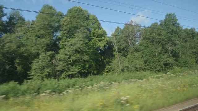 POV: High-speed Train fast moves past a trees and a fields in the summer day
