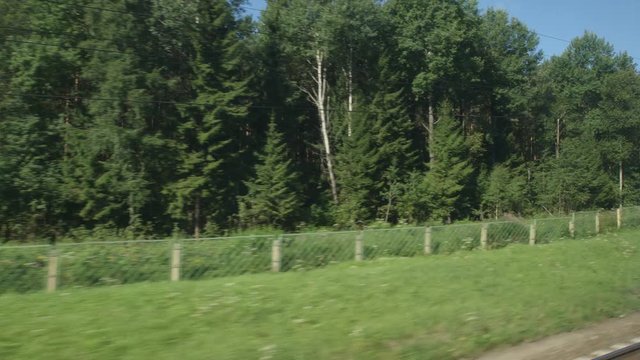 POV: High-speed Train fast moves past a row of a forest in the summer