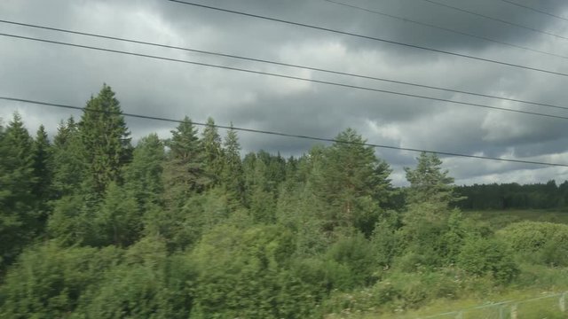 POV: High-speed Train fast moves past a forest in a cloudy day