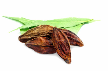 Ayurvedic fruits and neem leaved